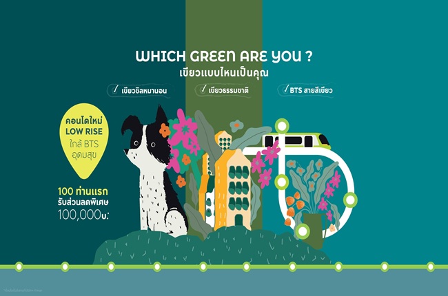 banner-project-details