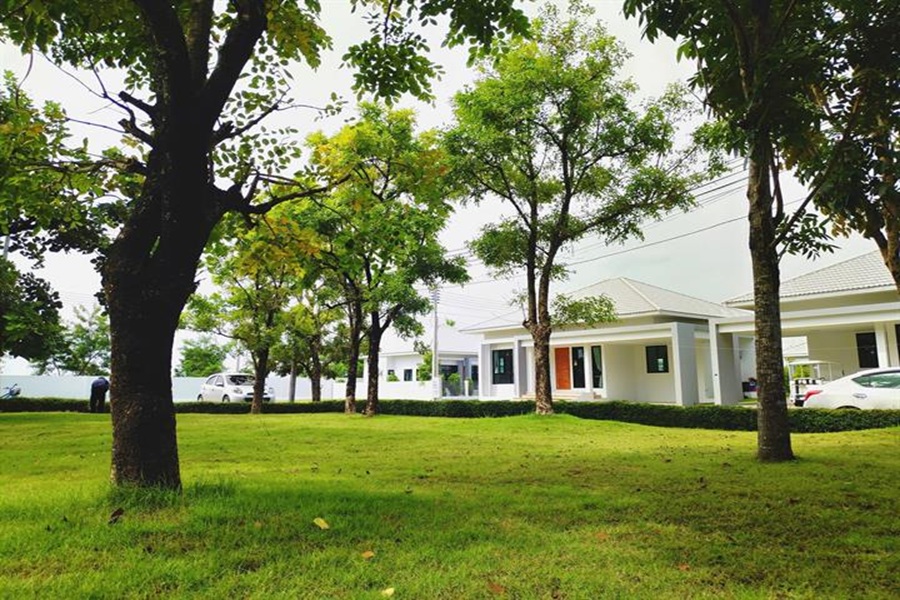 ลิฟวิ่ง-เซนส์